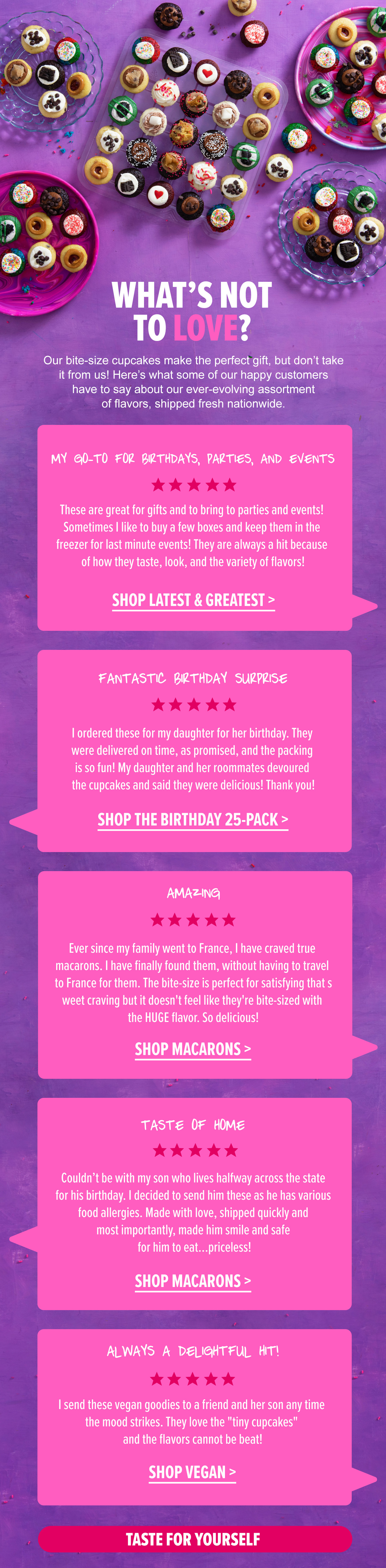 Newsletter 3